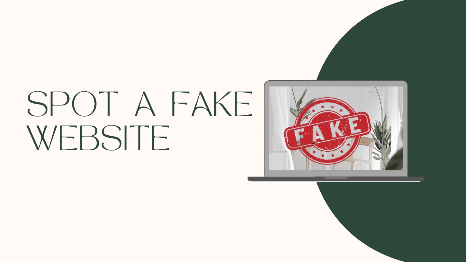 Spot a fake website